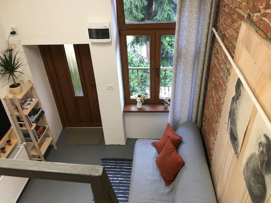 Ferdinand Art Studio Cluj-Napoca Extérieur photo