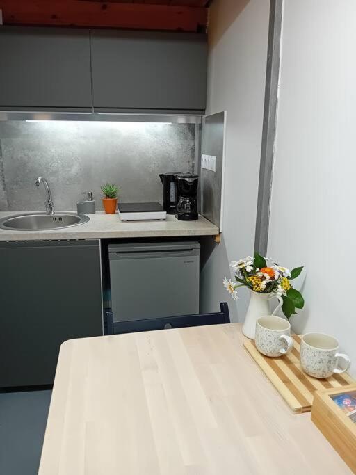 Ferdinand Art Studio Cluj-Napoca Extérieur photo
