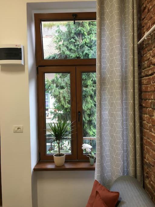 Ferdinand Art Studio Cluj-Napoca Extérieur photo